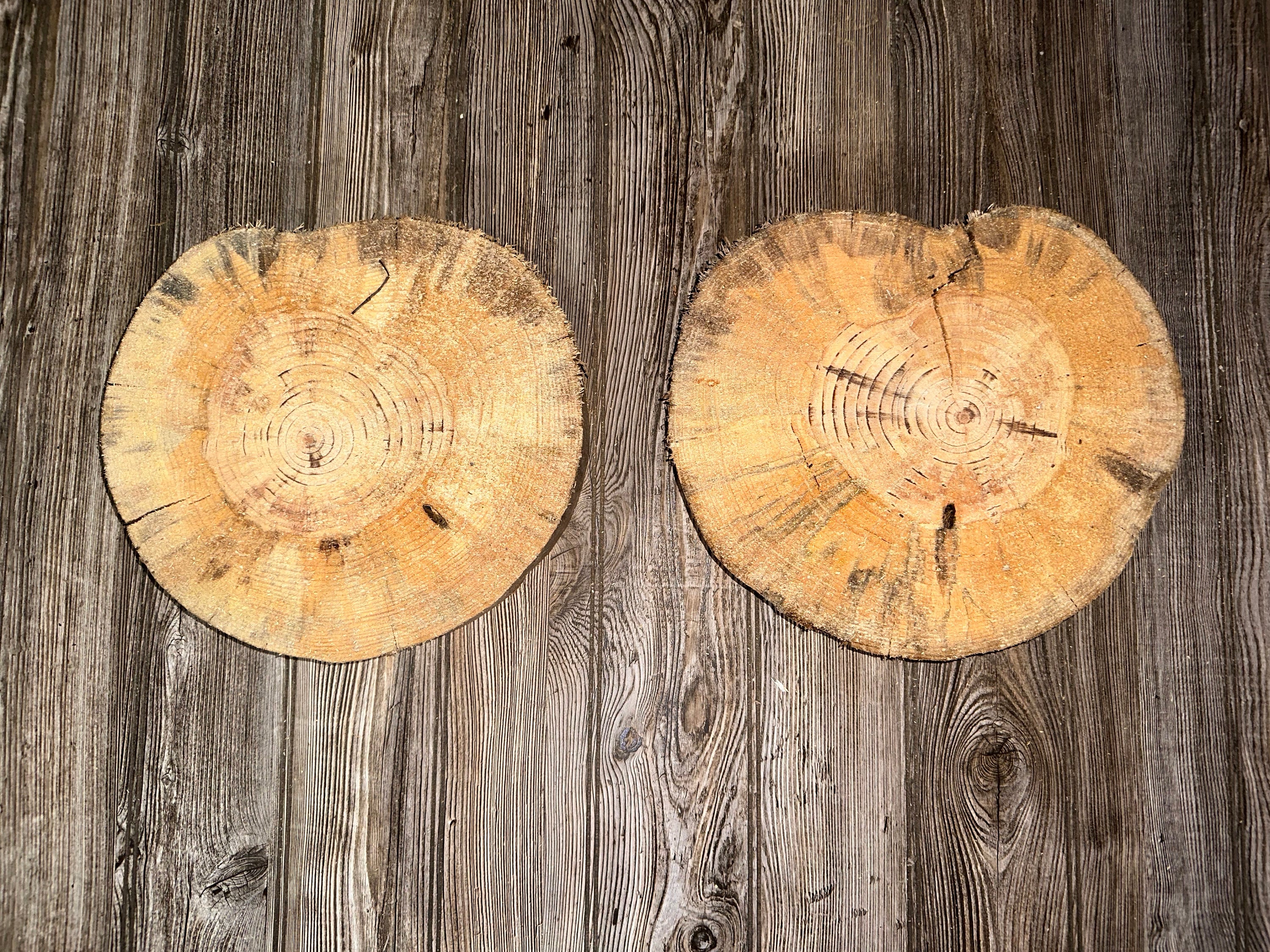 Pine Slices, Two Pine Wood Slices, 2 Count, Approximately 11.5-12 Inches Long by 10.5-11 Inches Wide and 2 Inches Tall