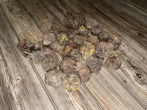 Burl, One Pound of Baby Burls, Lengths and Widths of the Burl and Branch Vary on Each