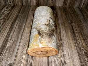 White Birch Yule Log, Approximately 12 Inches Long by 6-7 Inches Diameter