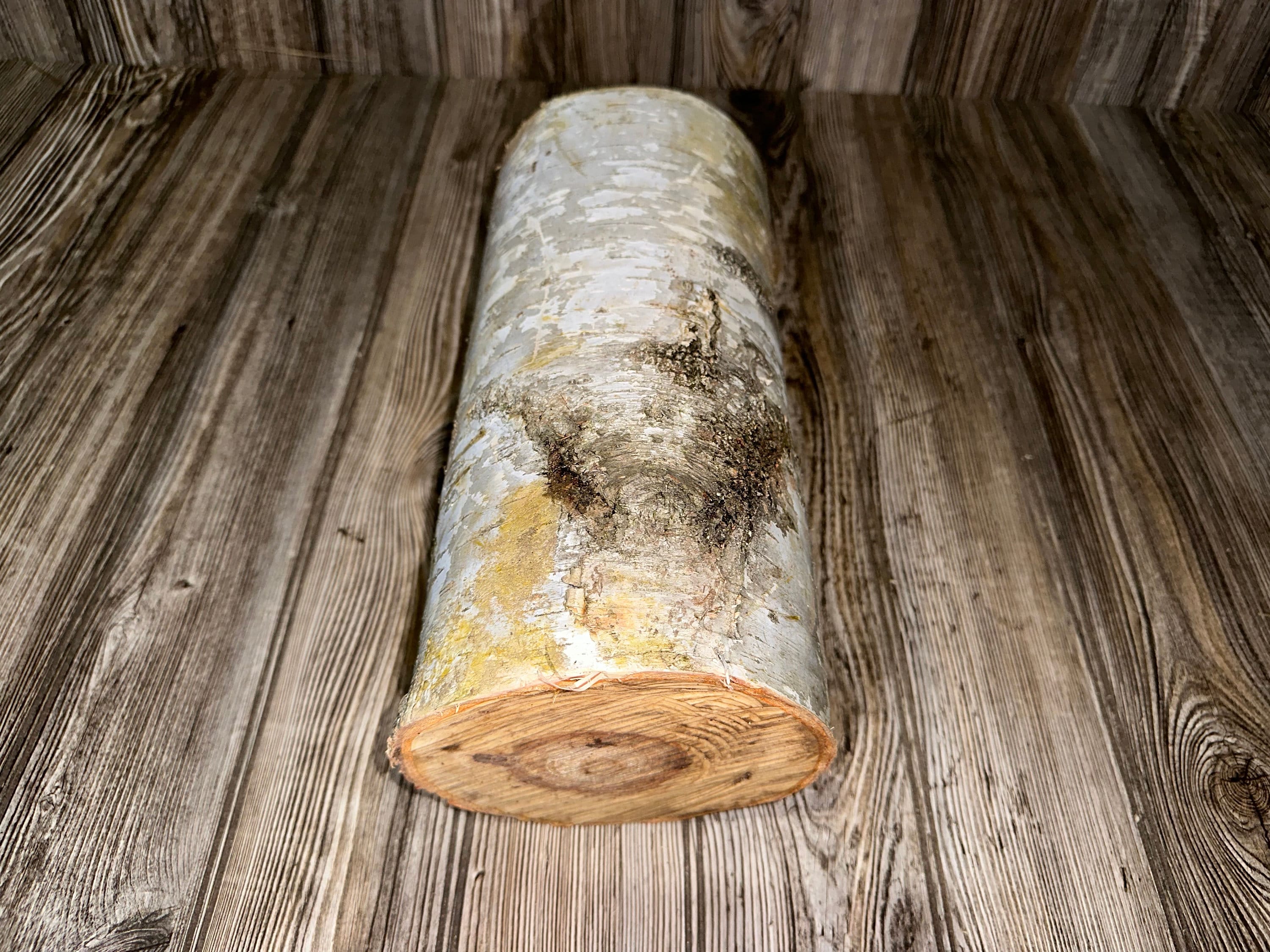 White Birch Yule Log, Approximately 12 Inches Long by 5-6 Inches Diameter