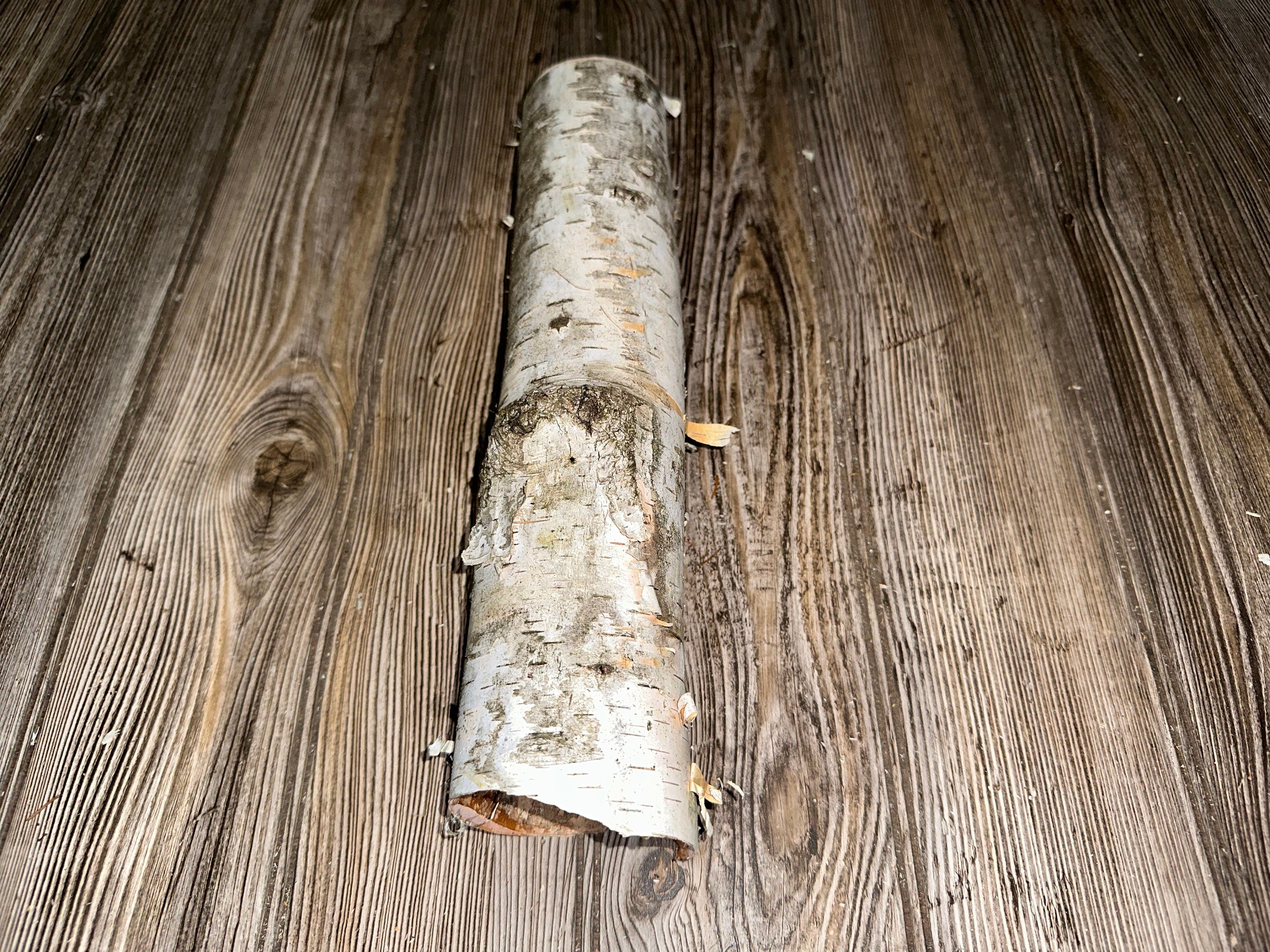 One White Birch Tube, Approximately 13.5 Inches Long by About 3 Inches Wide and 2.5 Inches High