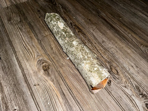 One White Birch Tube, Approximately 13.5 Inches Long by About 3 Inches Wide and 2.5 Inches High