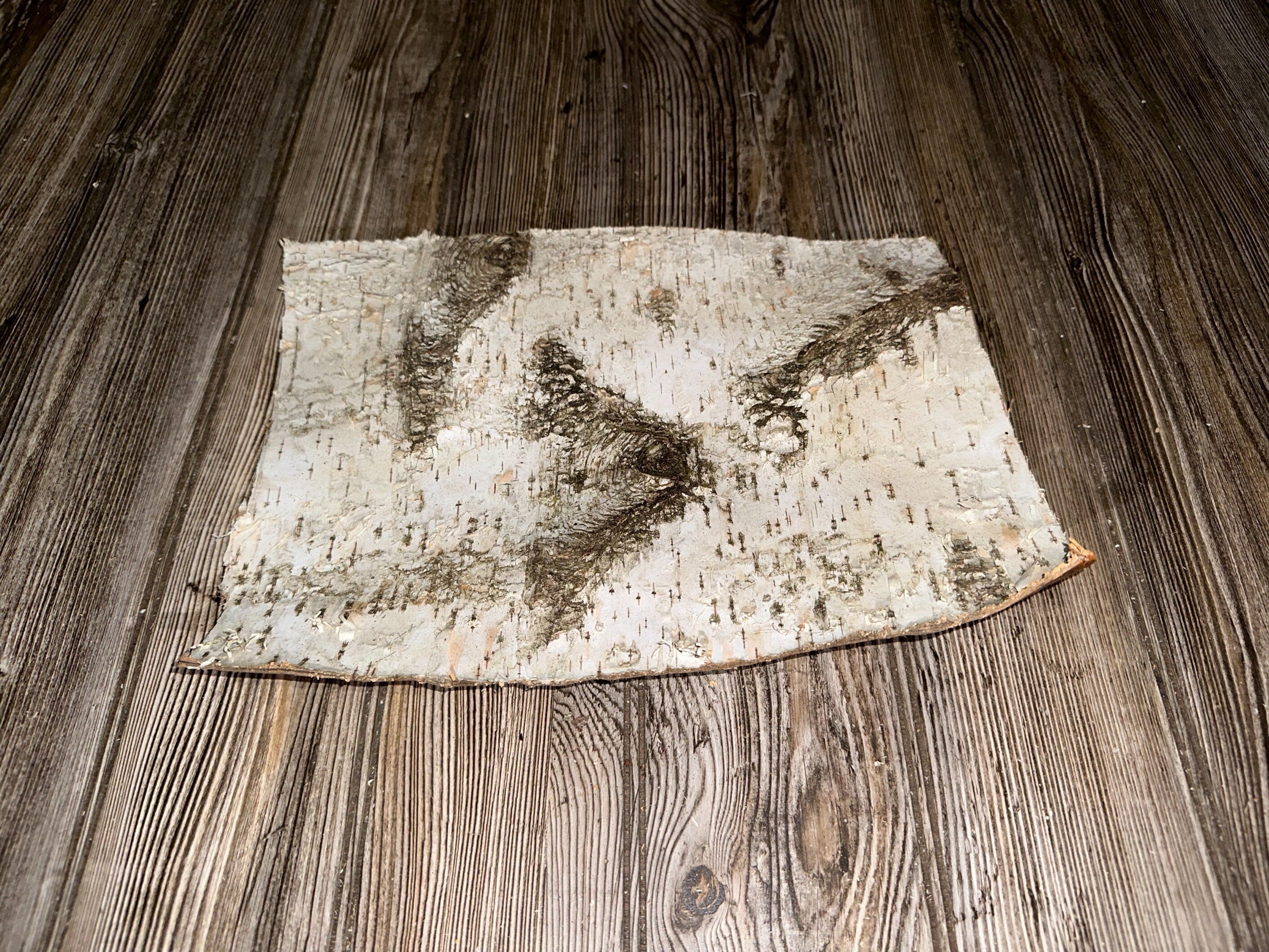 White Birch Bark, Approximately 13 by 9.5 Inches