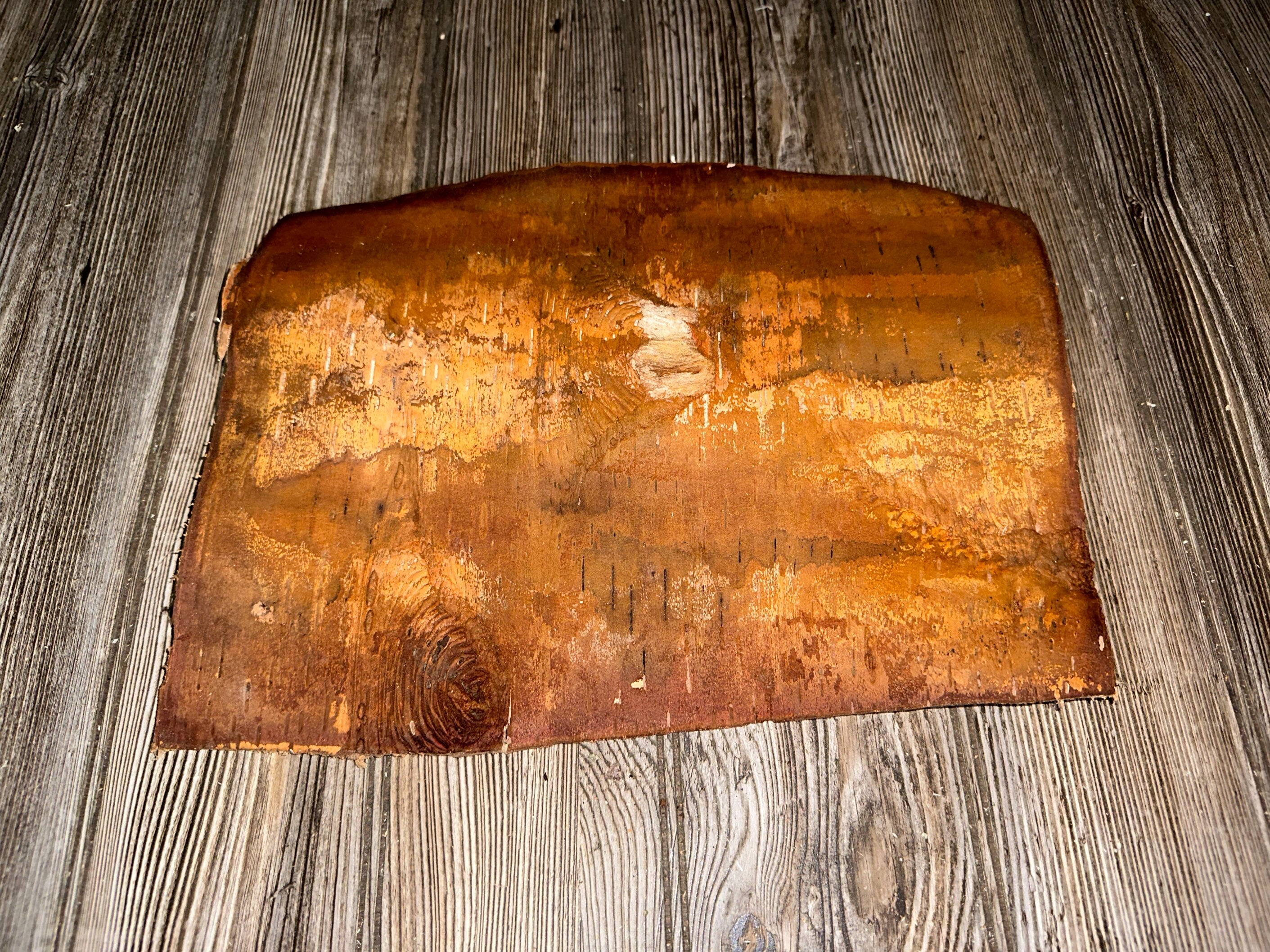 White Birch Bark, Approximately 13 by 9.5 Inches