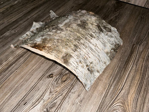 White Birch Bark Sheet, Approximately 16 by 12 Inches