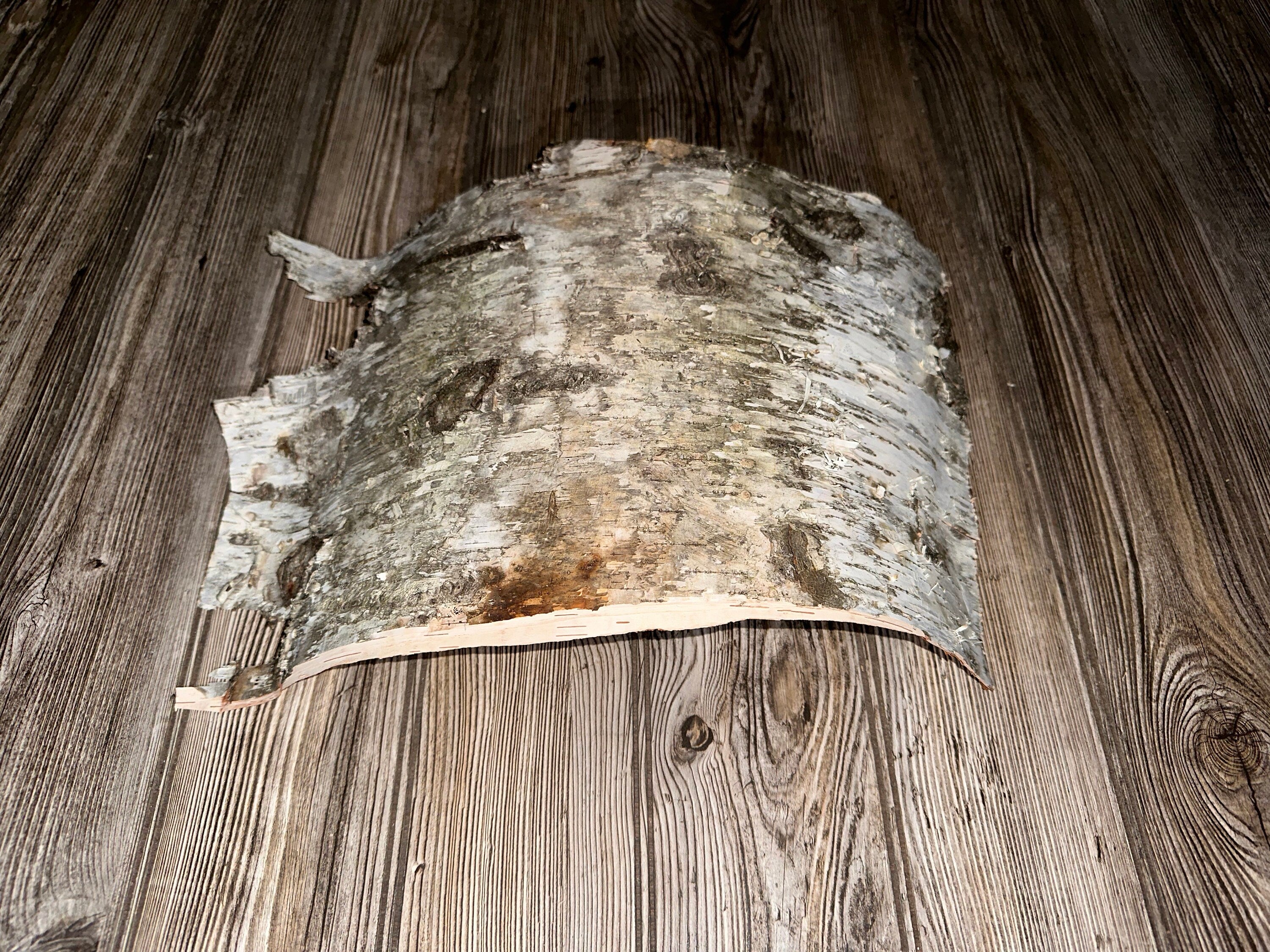 White Birch Bark Sheet, Approximately 16 by 12 Inches