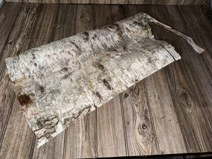 White Birch Bark, Approximately 29 Inches x 16 Inches