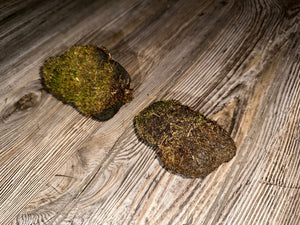 Two Live Moss Covered Rocks, Real Moss, Approximately 3.5-4 Inches in Size