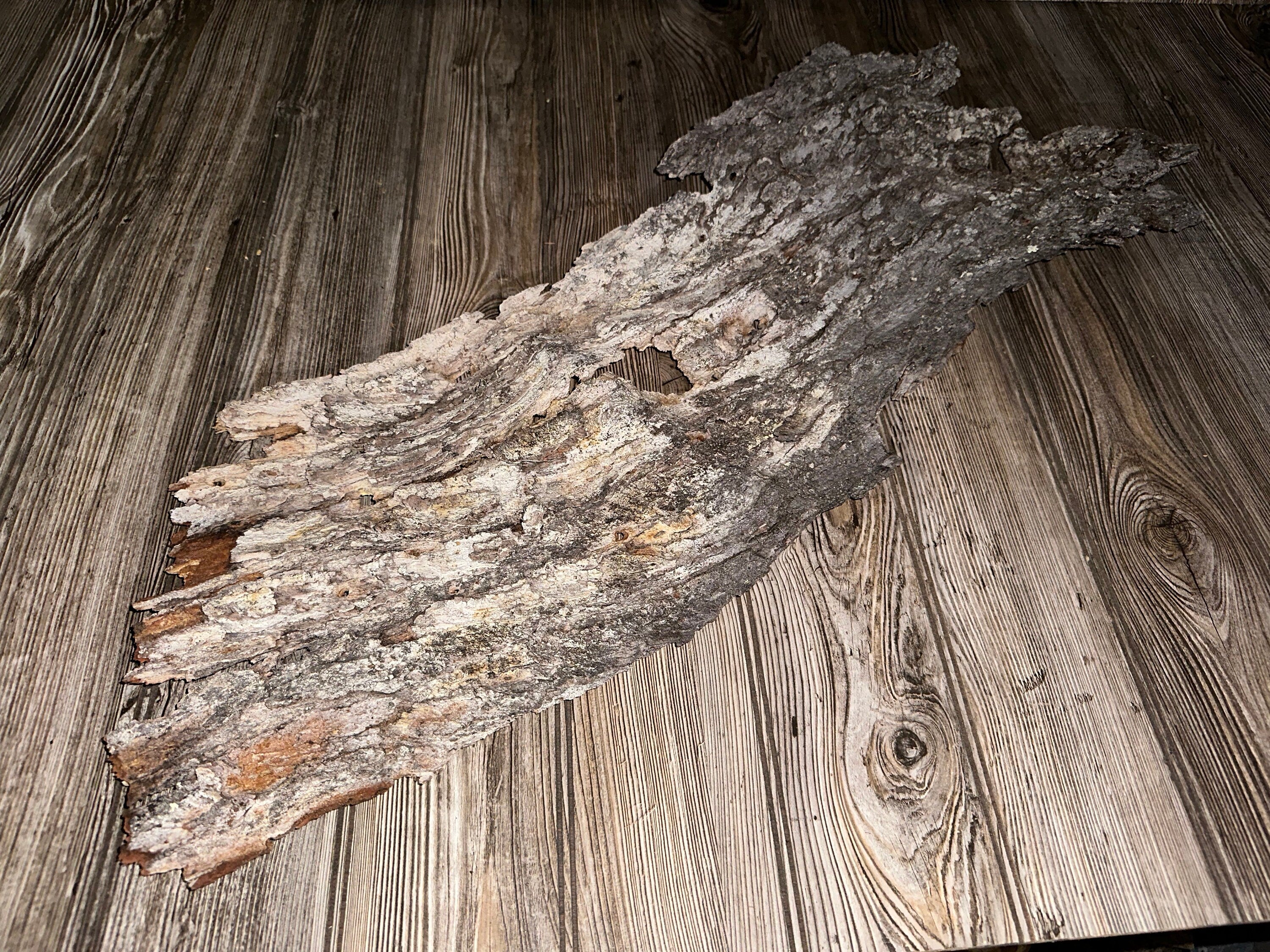 Tree Bark, Real Tree Bark, Gray-Brown Color, Approximately 30 Inches Long by 11 Inches Wide