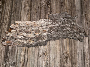 Tree Bark, Real Tree Bark, Gray-Brown Color, Approximately 30 Inches Long by 11 Inches Wide