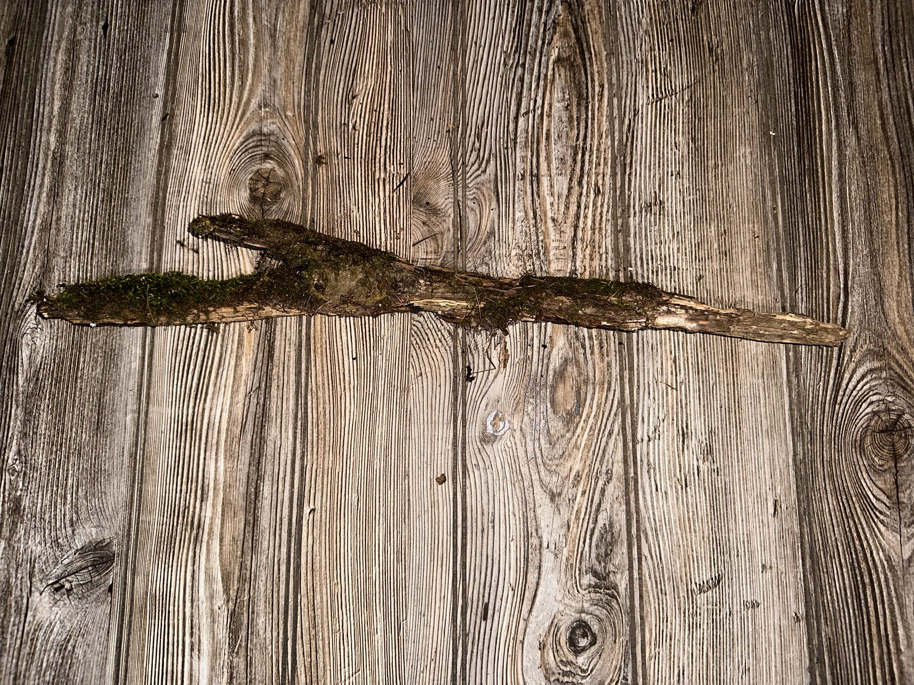 Moss Covered Log, Mossy Log, 19 Inches Long by 3 Inches Wide and 1 Inch High
