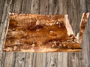 White Birch Bark, Approximately 29 Inches x 16 Inches