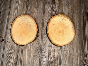 Two Aspen Slices, Approximately 6 Inches Long by 5 Inches Wide and 2 Inches Thick