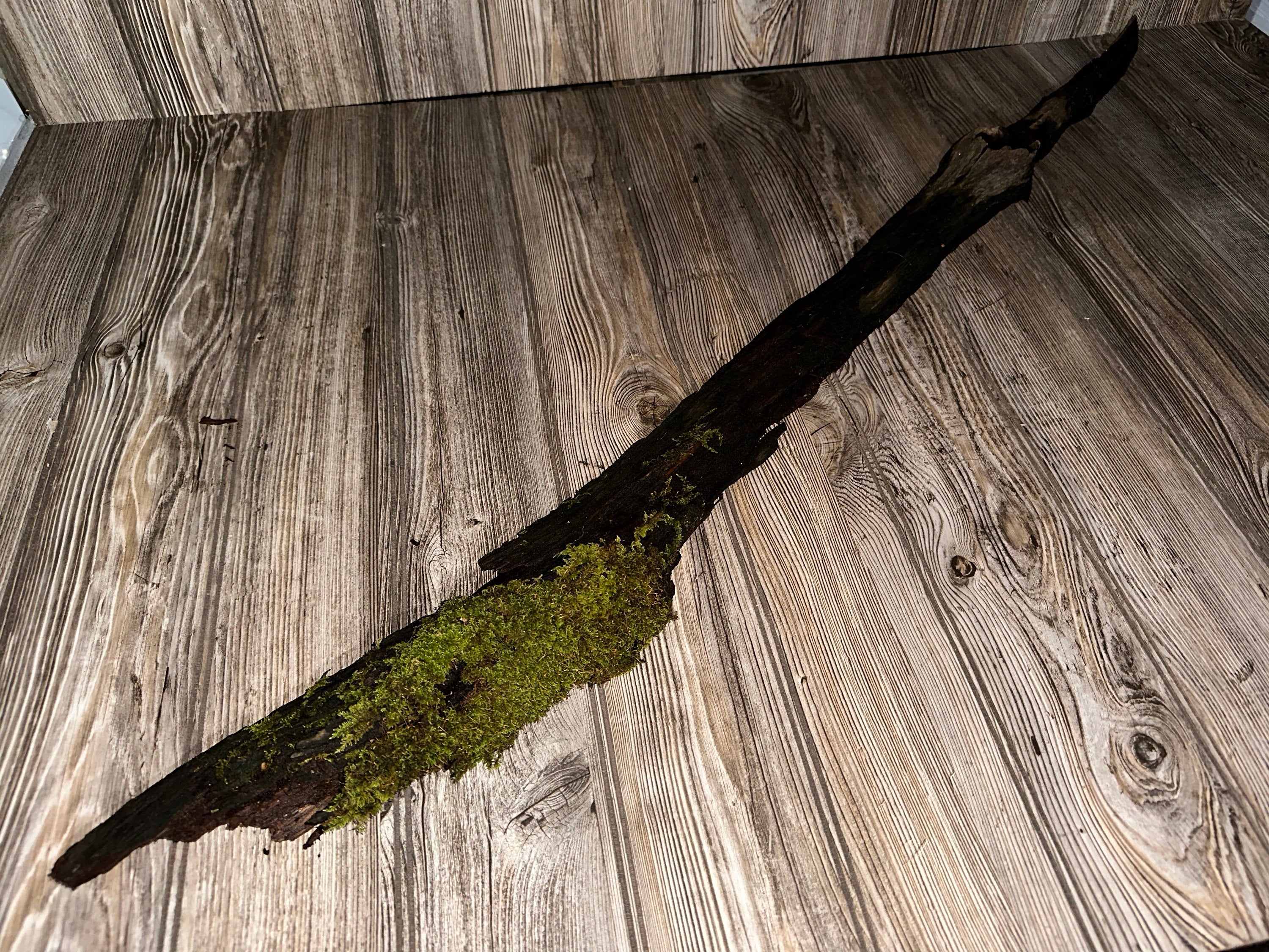 Large Mossy Log, Real Moss on Log, 43 Inches Long by 4 Inches Wide and 2 Inches High