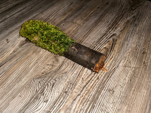 Moss Covered Log, Mossy Log, 9.5 Inches Long by 2 Inches Wide and 2 Inches High