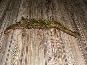 Moss Covered Log, Mossy Log, 18 Inches Long by 2 Inches Wide and 2 Inches High