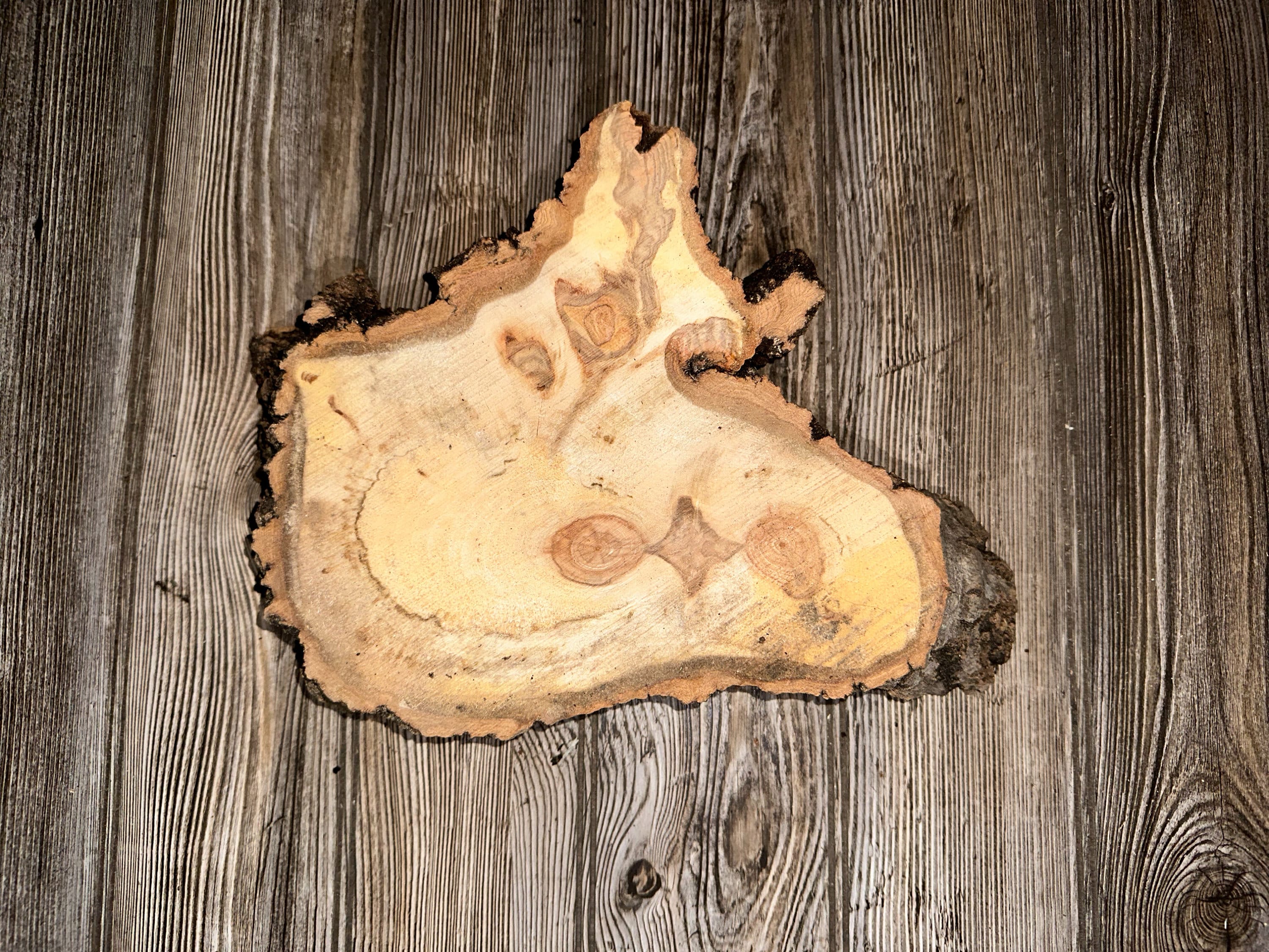 Unique Aspen Burl Slice, Approximately 14 Inches Long by 10 Inches Wide and 2 Inches Thick