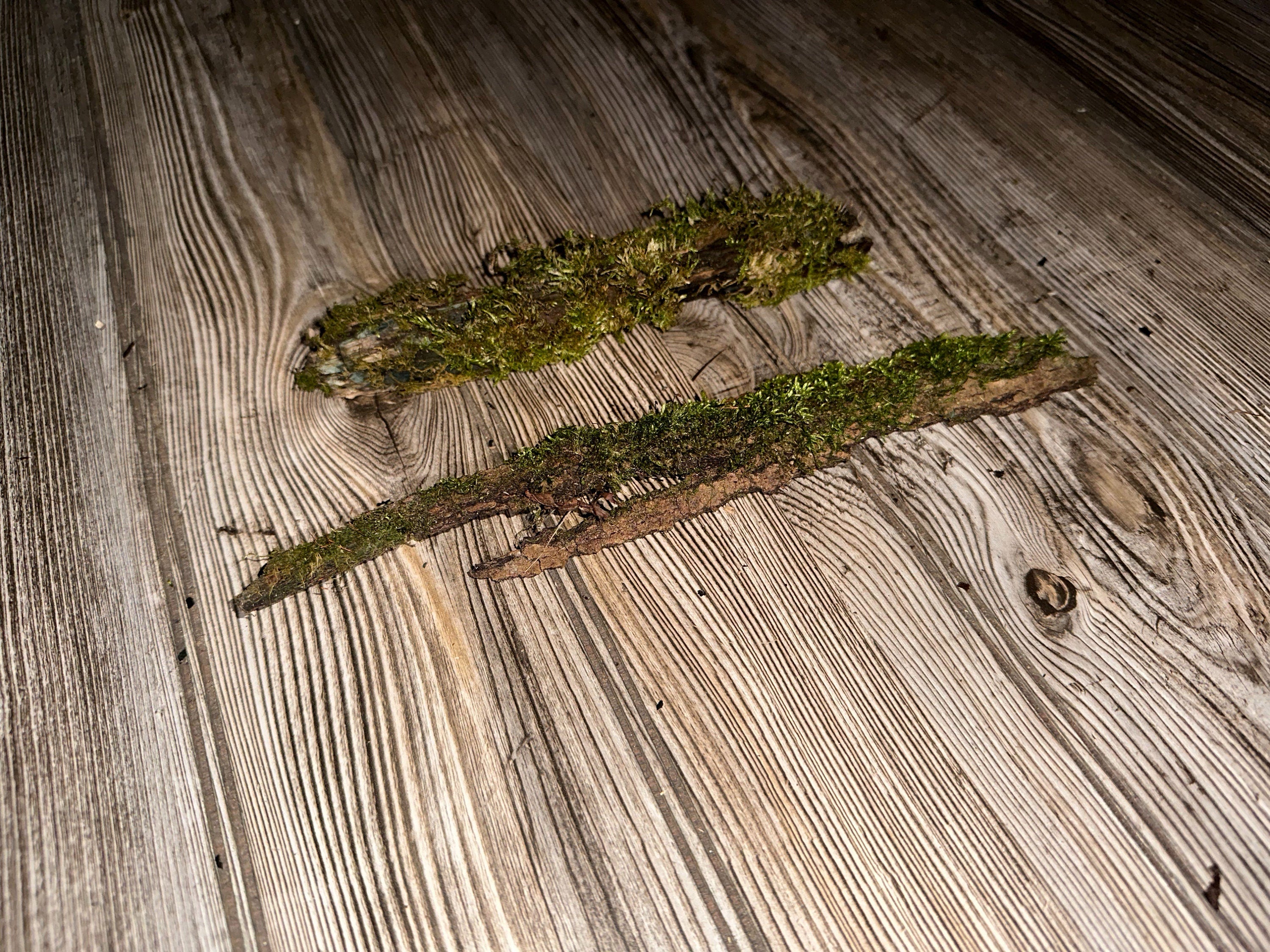 Two Mossy Sticks, Moss Sticks, Approximately 11 Inches x 1.5 inches x 1 Inch in Size