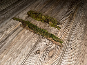 Two Mossy Sticks, Moss Sticks, Approximately 11 Inches x 1.5 inches x 1 Inch in Size