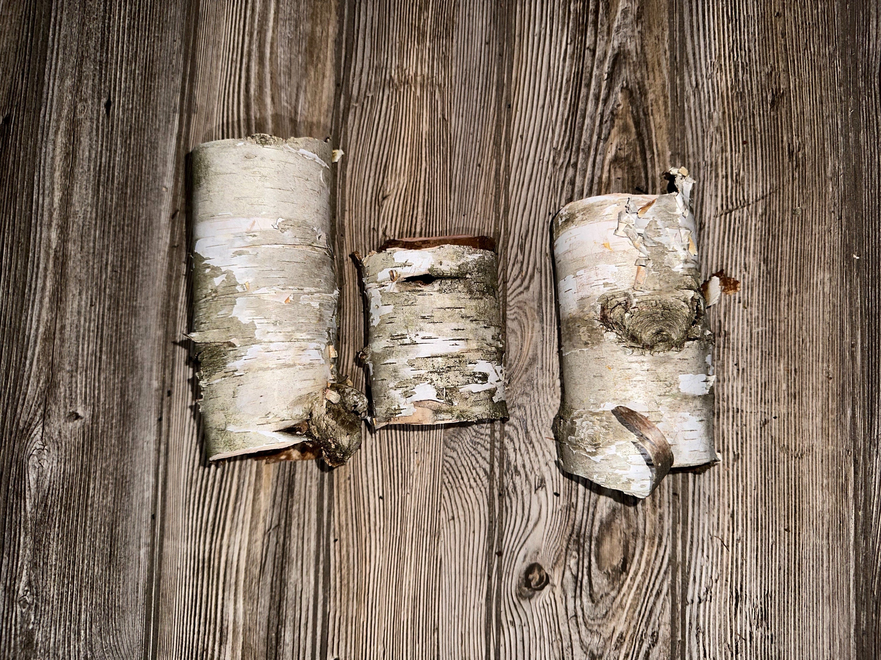 Three White Birch Bark Tubes, Approximately 4.5-7.5 Inches Long by 3 Inches Wide and 3 Inches High