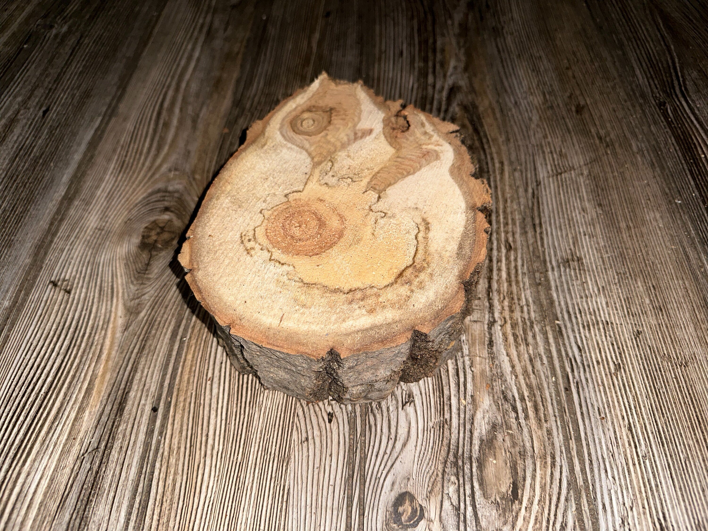 Aspen Burl Slice, Approximately 8.5 Inches Long by 6 Inches Wide and 2 Inches Thick