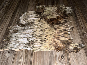 White Birch Bark, Paper Birch, Approximately 21 Inches Long by 18 Inches Wide
