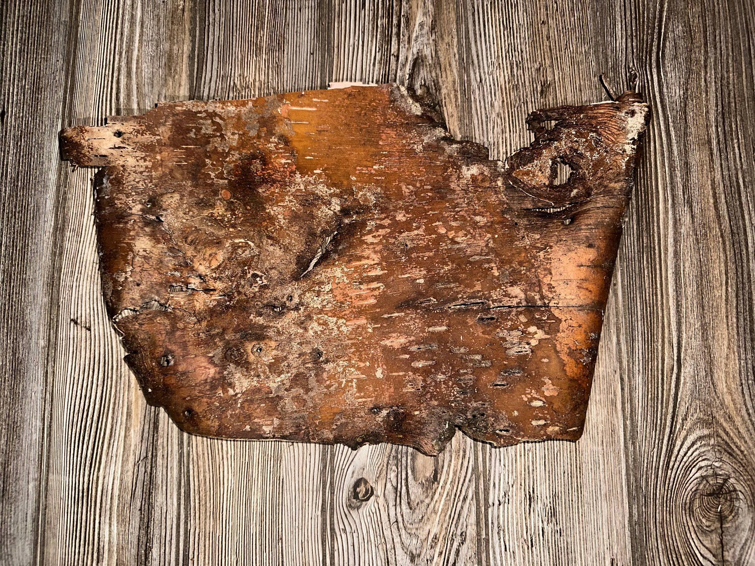 White Birch Bark, Paper Birch, Approximately 16 Inches Long by 10 Inches Wide