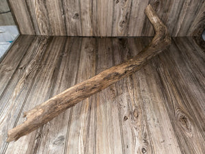 River Driftwood, Hollow Log, Tree Limb, Branch End, Approximately 35 Inches Long by 10 Inches Wide and 5.5 Inches Tall
