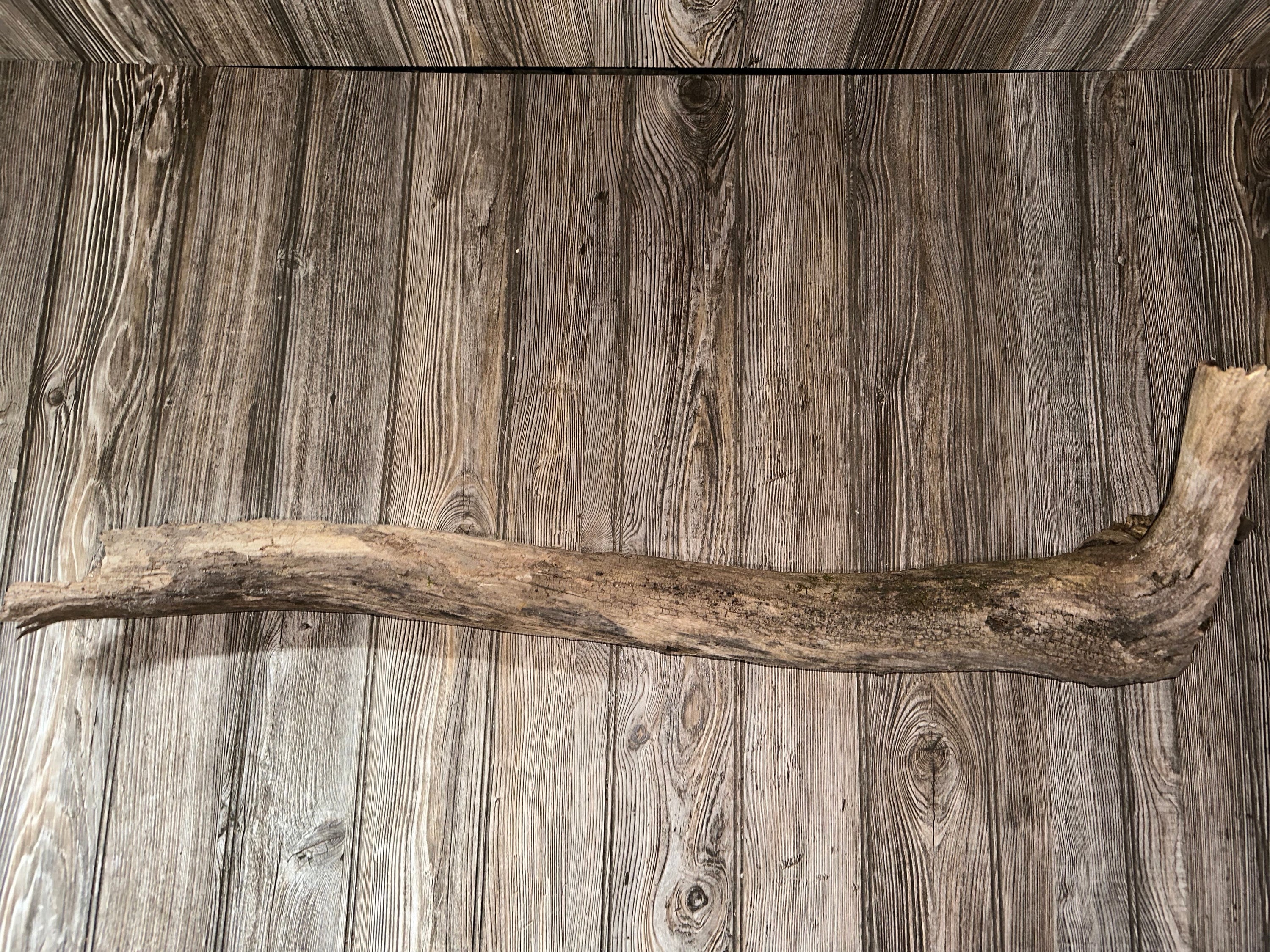 River Driftwood, Hollow Log, Tree Limb, Branch End, Approximately 35 Inches Long by 10 Inches Wide and 5.5 Inches Tall