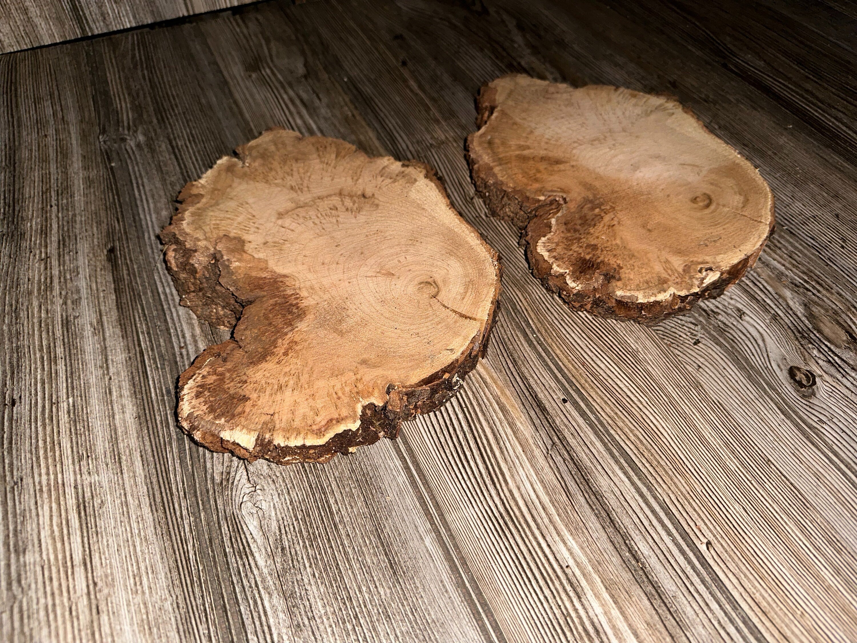 Two Cherry Burl Slices, Kiln Dried, Approximately 10-11 Inches Long by 7 Inches Wide and 1 Inch Thick