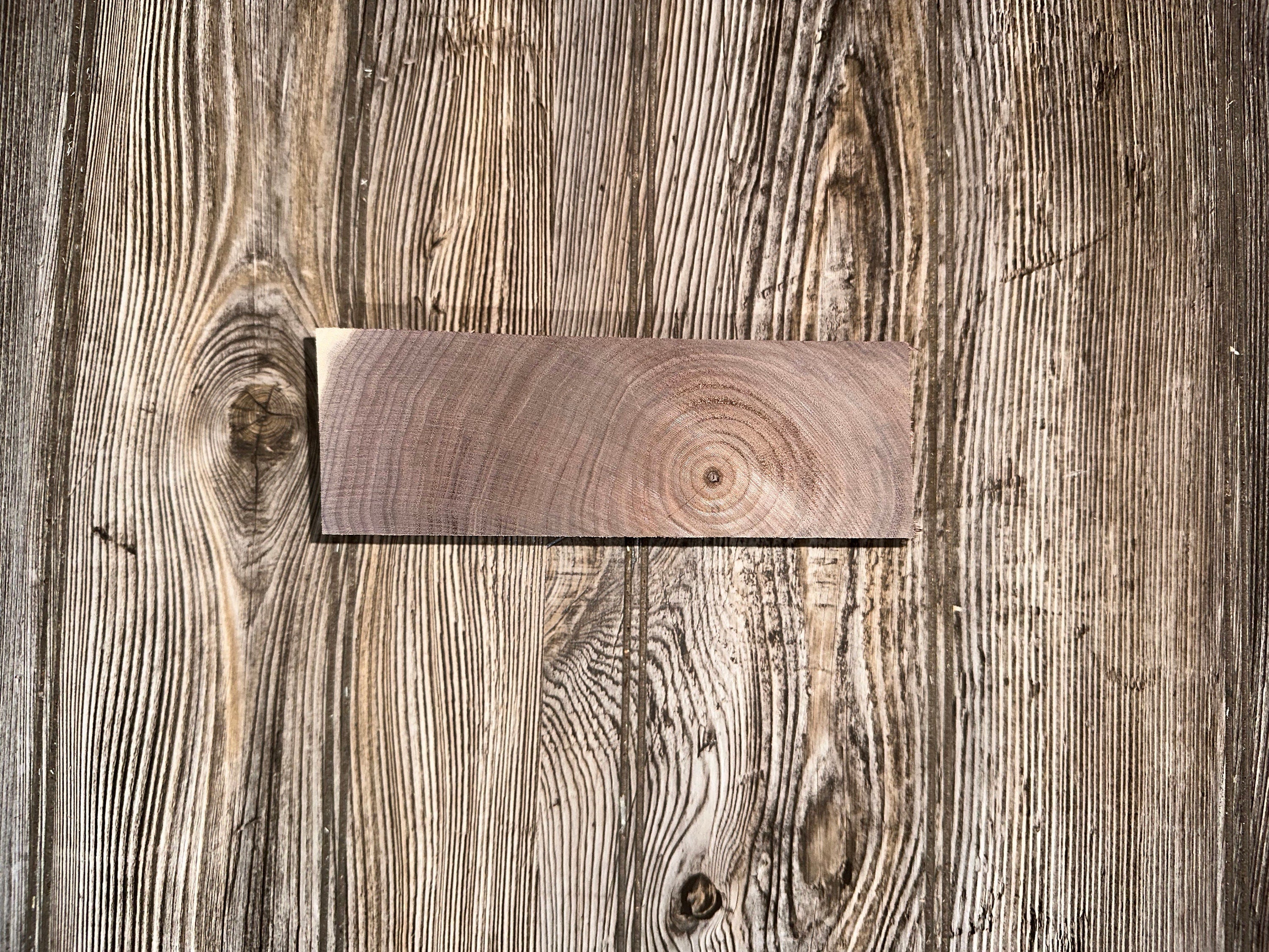 Black Walnut Slab, Approximately 7 Inches Long by 2 Inches Wide by 2 Inches High