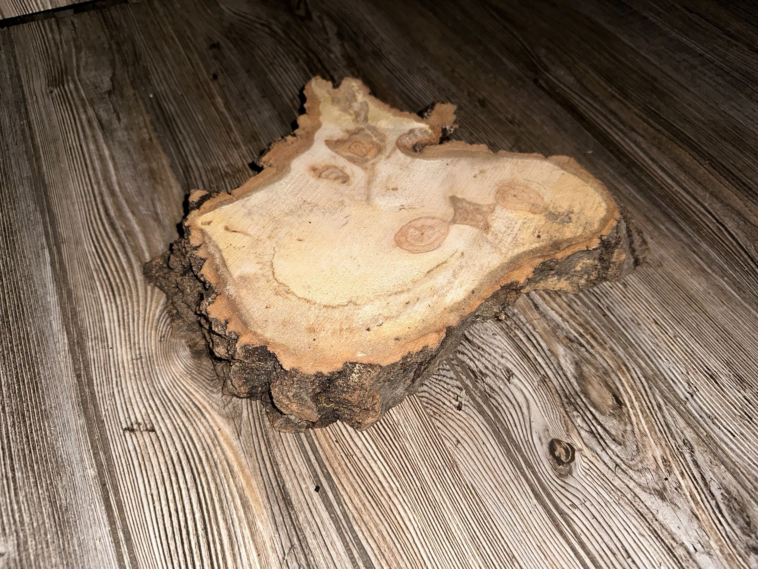Unique Aspen Burl Slice, Approximately 14 Inches Long by 10 Inches Wide and 2 Inches Thick