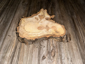 Unique Aspen Burl Slice, Approximately 14 Inches Long by 10 Inches Wide and 2 Inches Thick