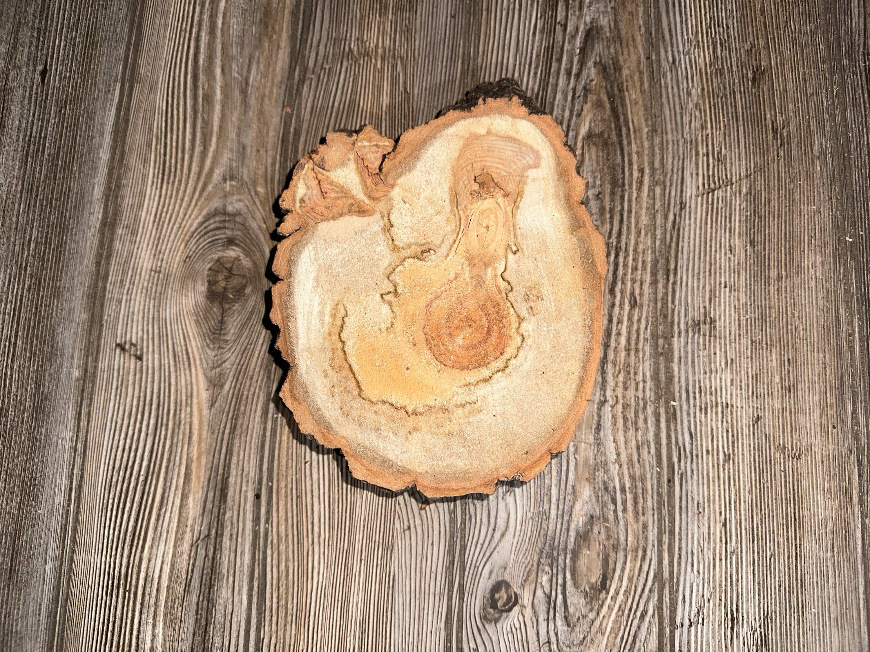 Aspen Burl Slice, Approximately 8.5 Inches Long by 6 Inches Wide and 2 Inches Thick