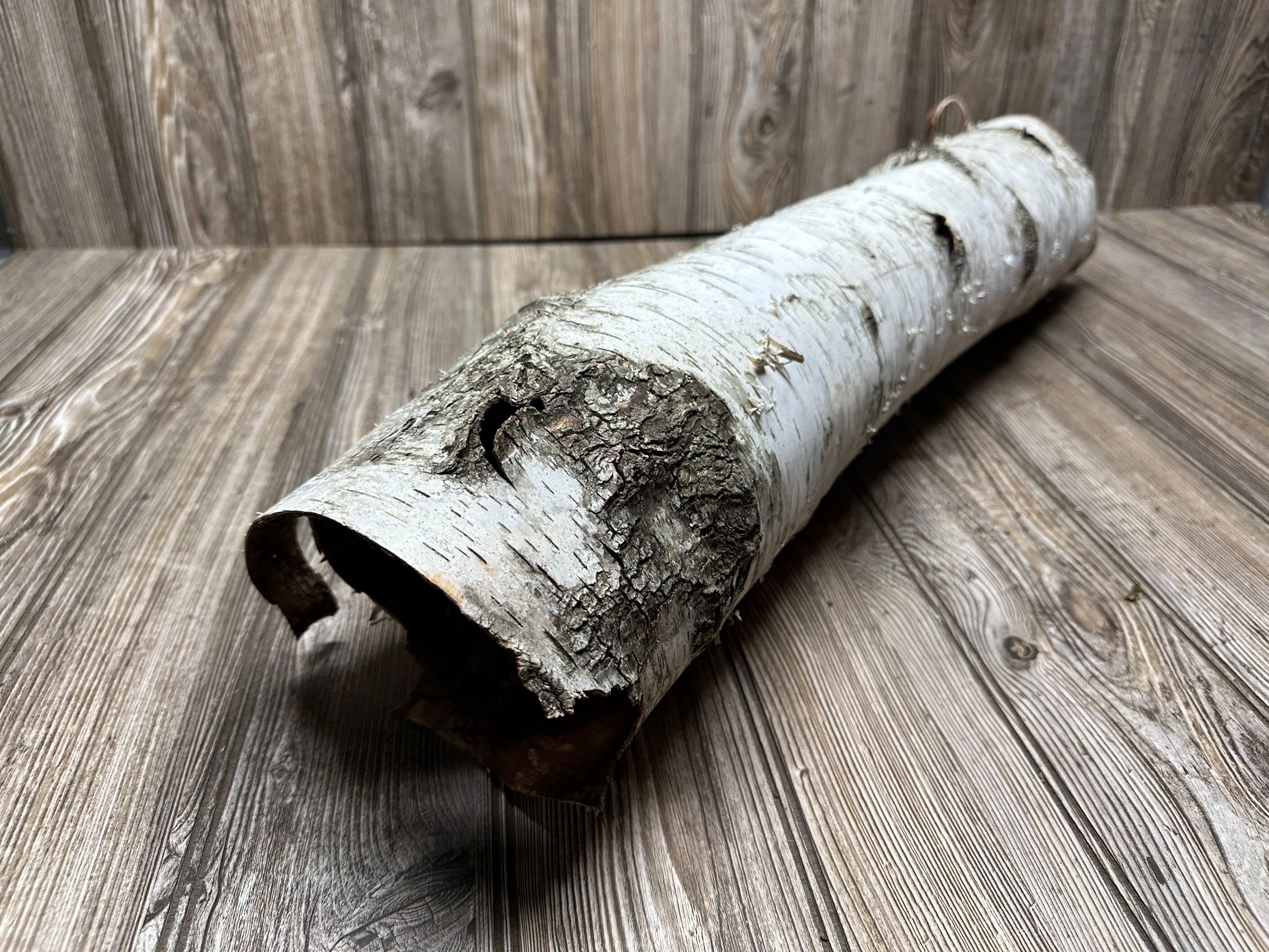 White Birch Tube, Firm and Hollow, Approximately 26 Inches long and About 6 Inches Wide and 5 Inches Tall