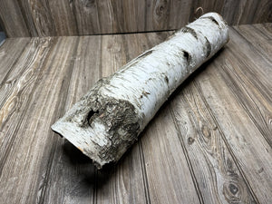 White Birch Tube, Firm and Hollow, Approximately 26 Inches long and About 6 Inches Wide and 5 Inches Tall