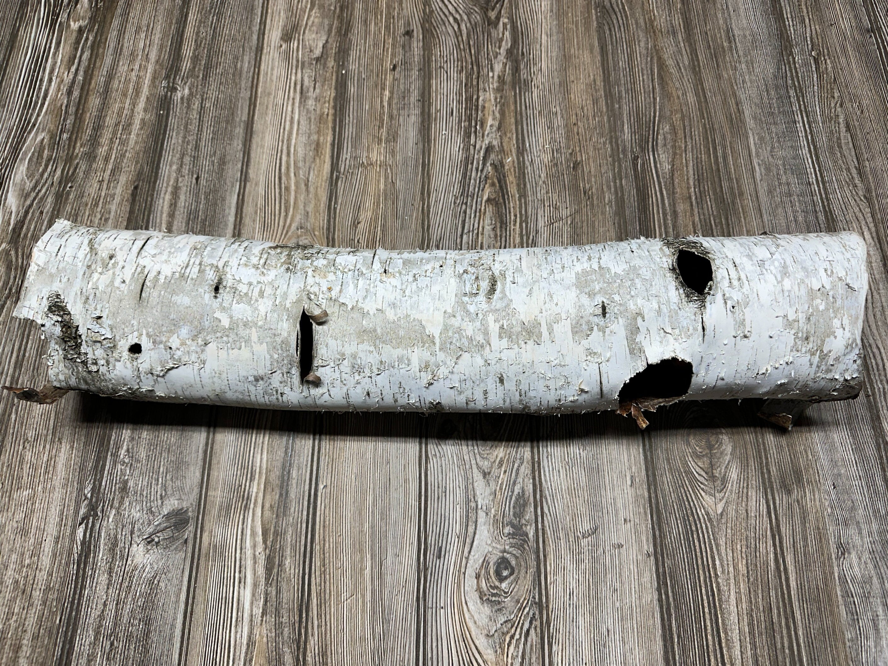 White Birch Tube, Firm and Hollow, Approximately 26 Inches long and About 6 Inches Wide and 5 Inches Tall