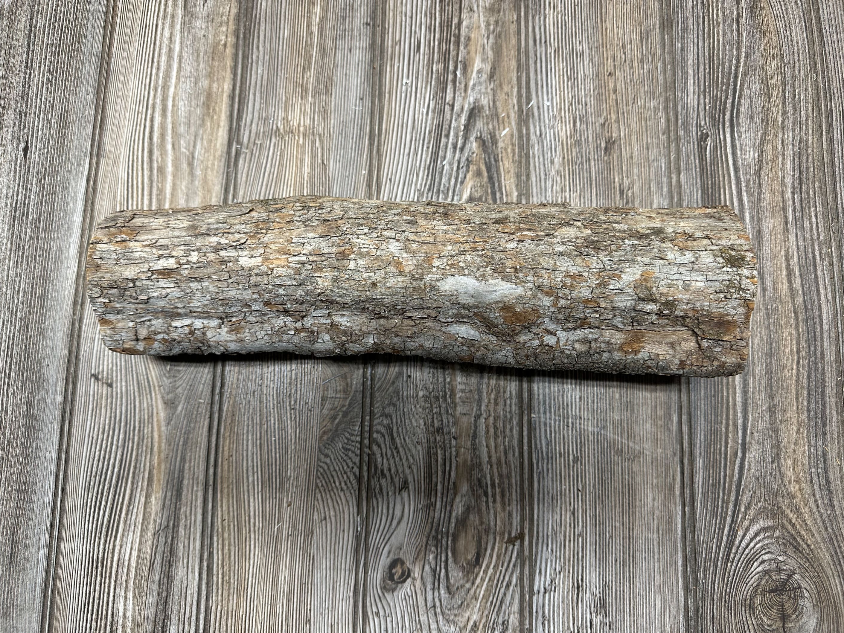 Unique Ironwood Log With Dark Center, Hophornbeam, Approximately 14.5 Inches Long by 4 Inches Wide and 3 Inches Thick