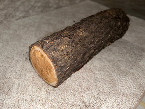 Cherry Log, 28 Inches Long by Approximately 9.5 Inches Wide and 8.5 Inches Tall, Black Cherry, American Cherry, Prunus Serotina