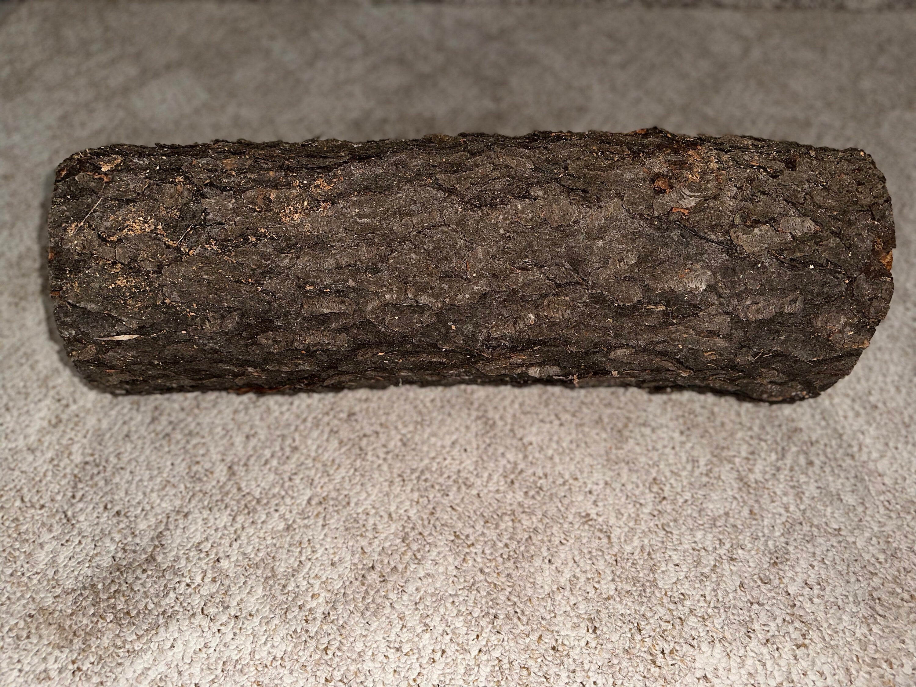 Cherry Log, 28 Inches Long by Approximately 9.5 Inches Wide and 8.5 Inches Tall, Black Cherry, American Cherry, Prunus Serotina