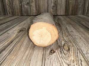 Unique Log, Distinctive Tree Branch, Approximately 9 Inches Long by 4 Inches Wide and 3 Inches Thick