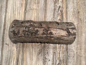 Unique Log, Distinctive Tree Branch, Approximately 9 Inches Long by 4 Inches Wide and 3 Inches Thick