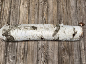 White Birch Tube, Firm and Hollow, Approximately 26 Inches long and About 6 Inches Wide and 5 Inches Tall