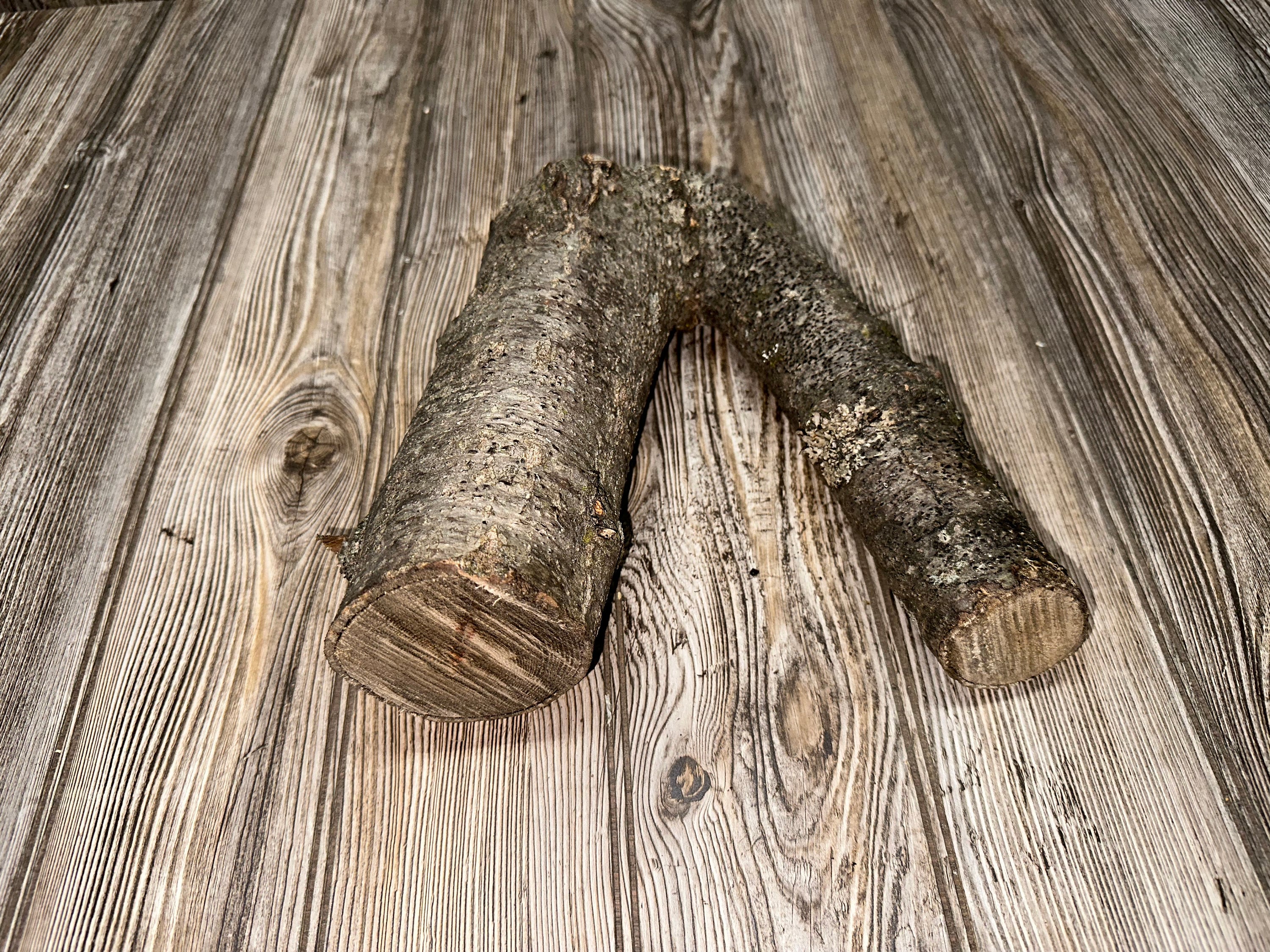 Unique V-Shaped Log, Approximately 10 Inches Long by 8.5 Inches Wide and 3 Inches High
