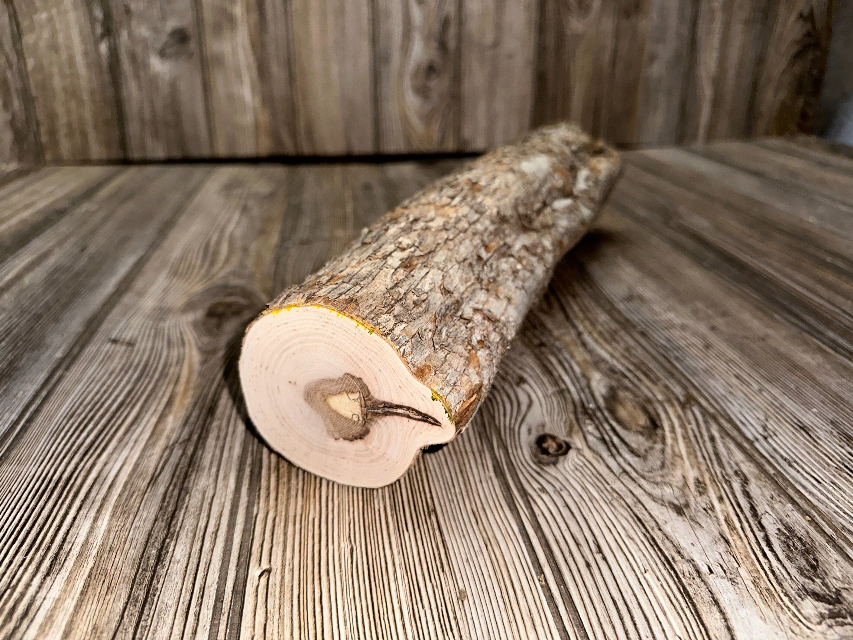 Unique Ironwood Log With Dark Center, Hophornbeam, Approximately 14.5 Inches Long by 4 Inches Wide and 3 Inches Thick