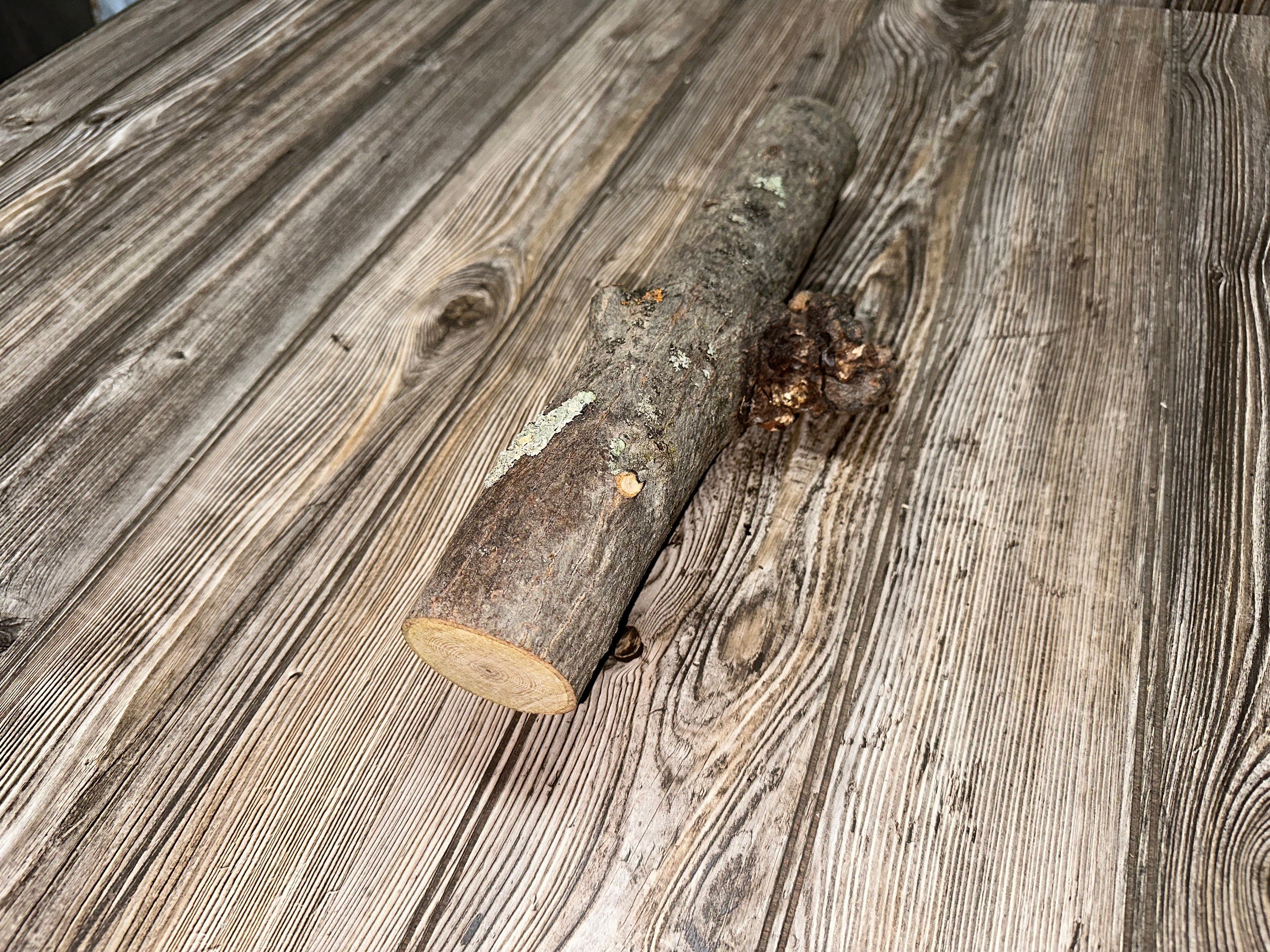 Hickory Burl Log, 14 Inches Long by 4.5 Inches Wide and 2 Inches Tall