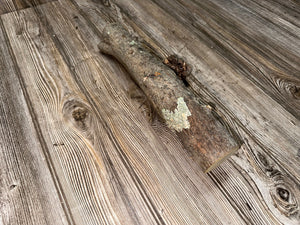 Hickory Burl Log, 14 Inches Long by 4.5 Inches Wide and 2 Inches Tall