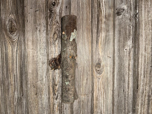 Hickory Burl Log, 14 Inches Long by 4.5 Inches Wide and 2 Inches Tall