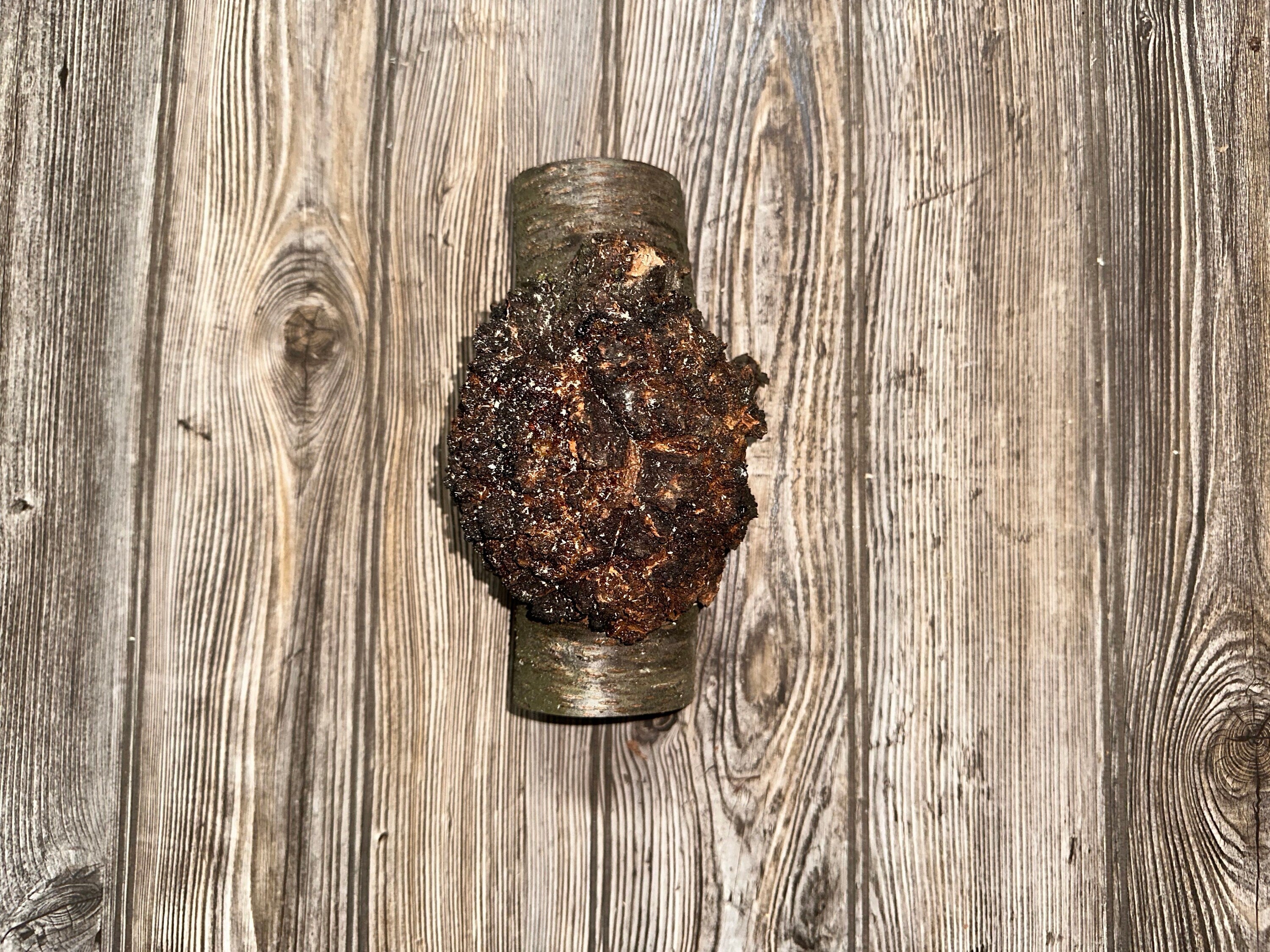 Burl, Cherry Burl Log, Approximately 8 Inches Long by 4 Inches Wide and 2.5 Inches Tall