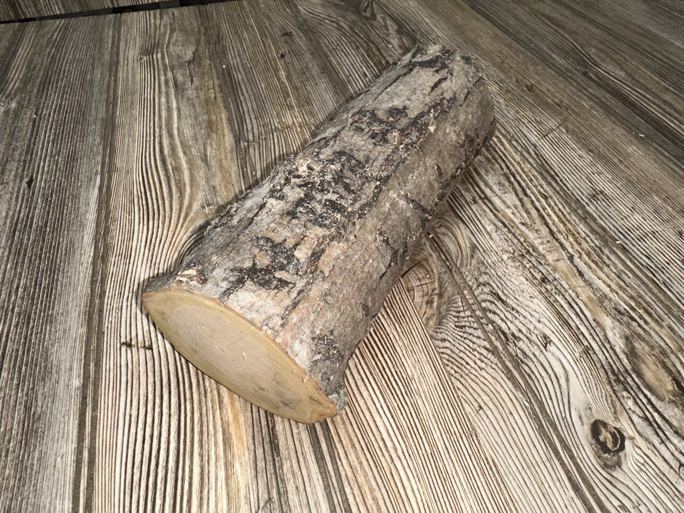 Unique Log, Distinctive Tree Branch, Approximately 9 Inches Long by 4 Inches Wide and 3 Inches Thick